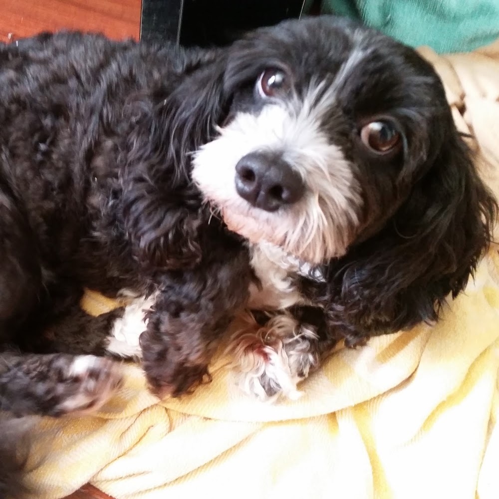 Meet your Posher, Vina